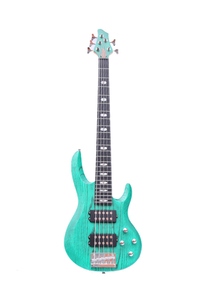 Электрическая бас-гитара с 5-струнной бас-гитарой ASH на заказ на продажу (EBS715)